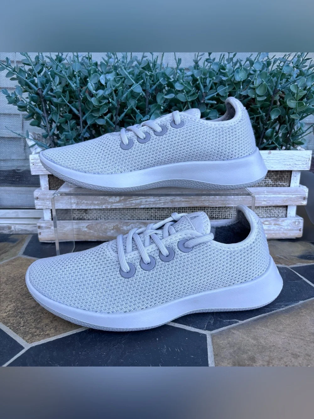 allbirds Women's Tree Runner NEW